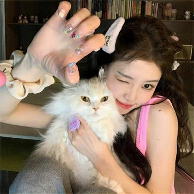 白莲花 剧照